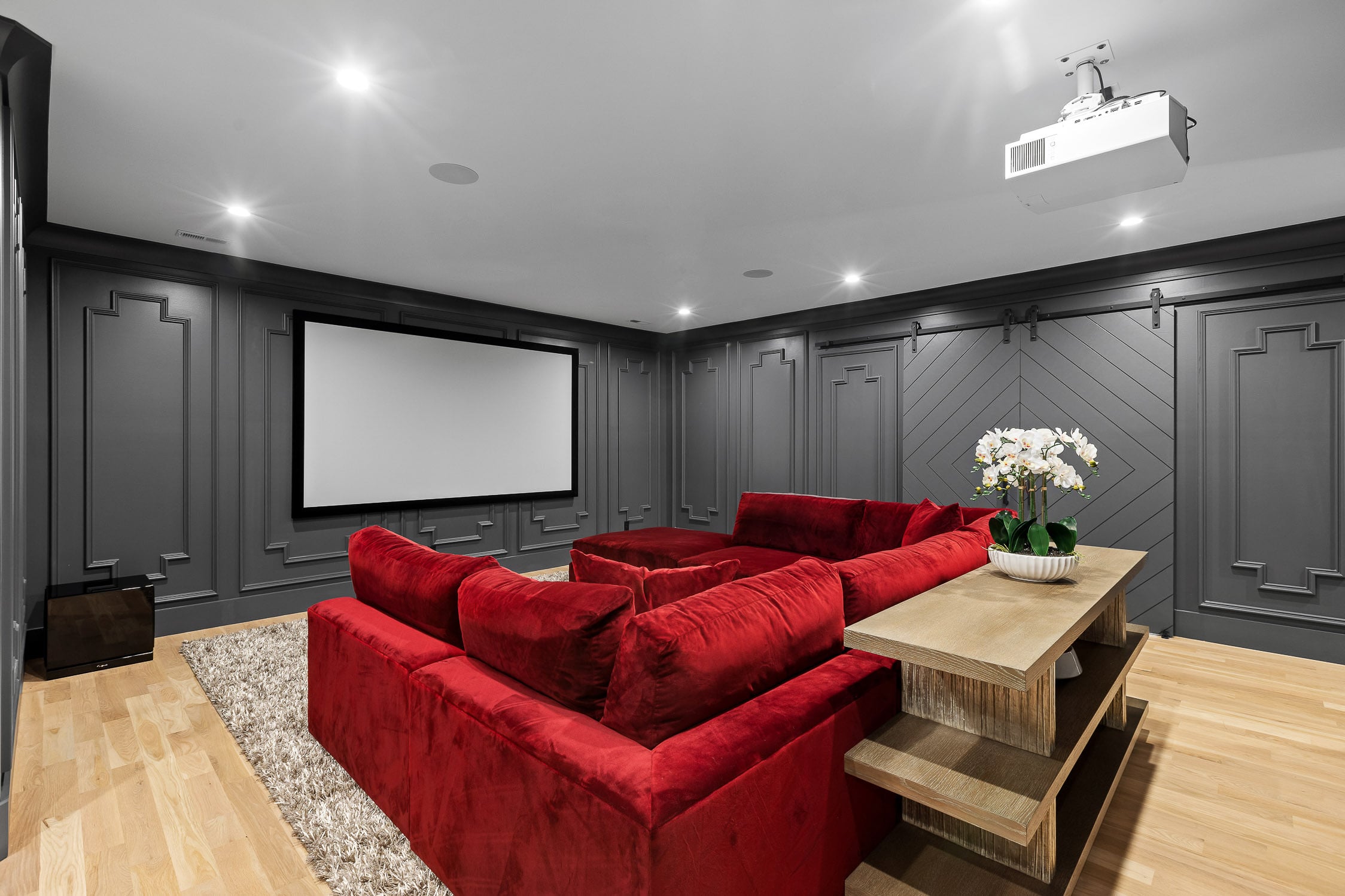 Luxury Whole-Home Entertainment